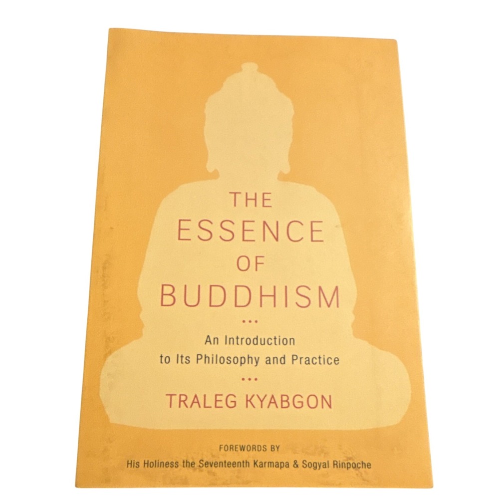 Shambhala Publications The Essence of Buddhism Traleg Kyabgon Paperback
